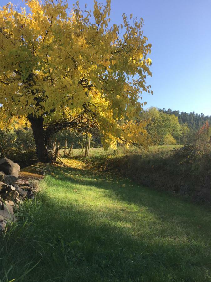 Le Chatel En Beaujolais Valsonne Exteriér fotografie