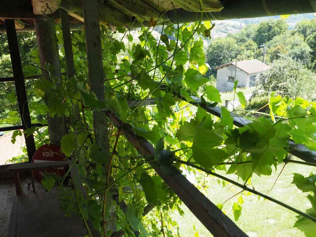 Le Chatel En Beaujolais Valsonne Exteriér fotografie